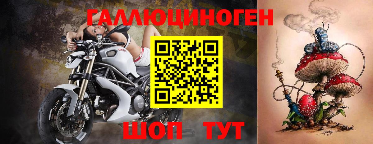 Полевской  Псилоцибиновые грибы Psilocybe  Вход с VPN 